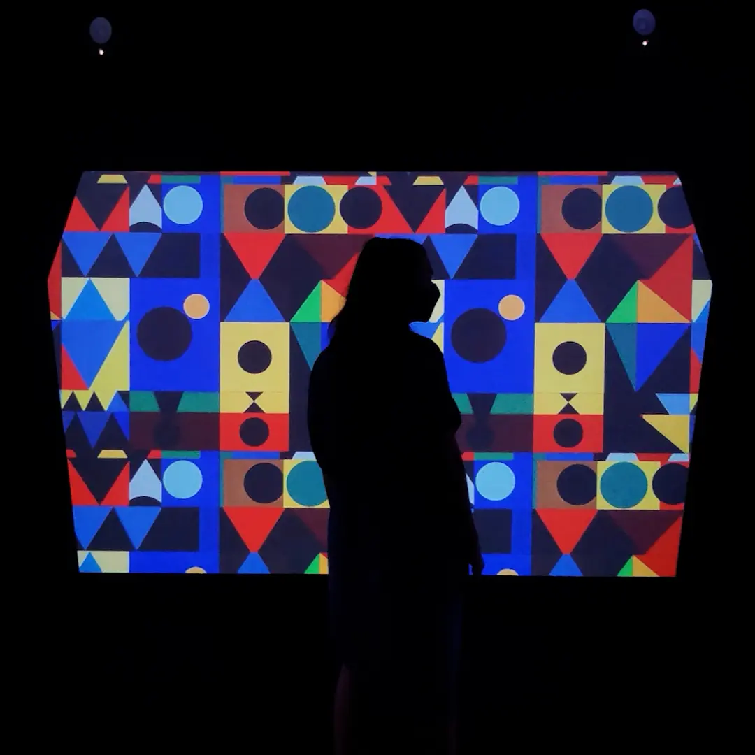 01 Projections Infinite Rooms 1_1 (0-00-05-19)