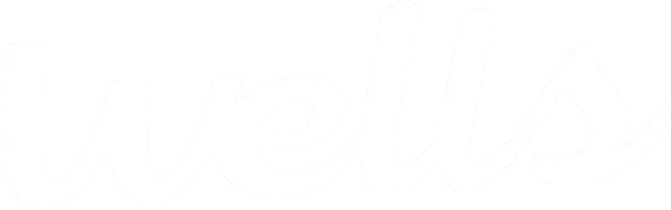 Client SONAE Wells logo